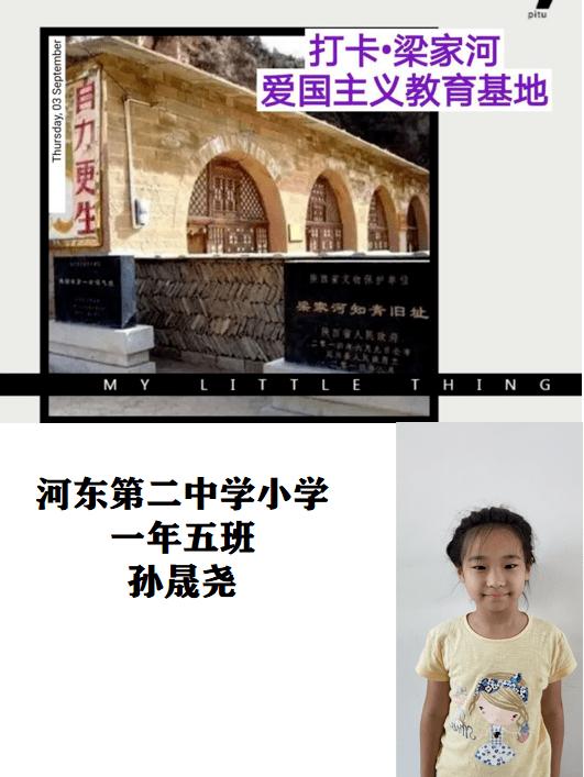 麻雀从小在家养放走能养活自己吗？游戏画面